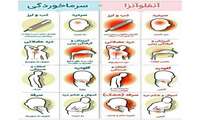 *📢 هشدار بهداشتی: در مواجهه با پیک آنفلوانزا چه کنیم؟