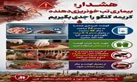 🚨 هشدار مهم بهداشتی: بیماری تب خونریزی‌دهنده کریمه کنگو را جدی بگیریم!