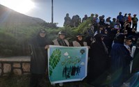 برگزاری پیاده‌روی «قدم بزنیم برای سلامتی»