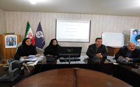 بررسی ۷ مورد مرگ کودکان و نوزادان در کمیته مرگ‌ومیر سه‌ماهه دوم سال ۱۴۰۵